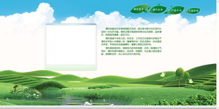 企業(yè)產(chǎn)品網(wǎng)站設(shè)計制作 打造高效轉(zhuǎn)化的數(shù)字門面